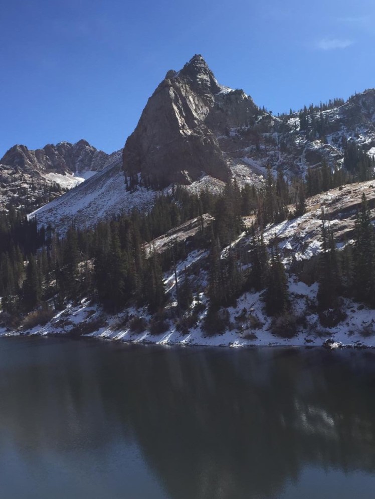 899E91FA-DC17-4A82-8BC1-A1115CF32E53