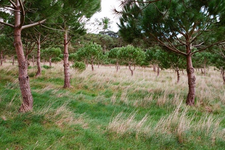 F7CC9667-1D66-4484-967E-B6C24EDE797A